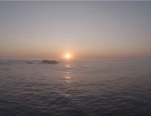 Drone Reel 2013